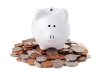 Piggy Bank