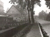 trad-006
